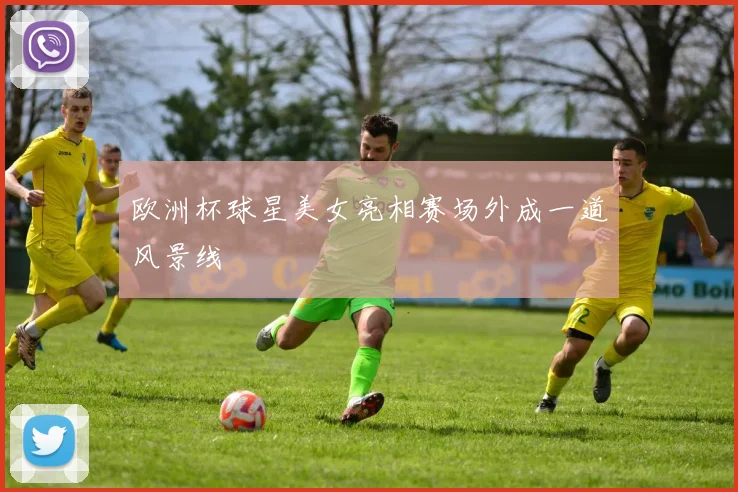 欧洲杯球星美女亮相赛场外成一道风景线